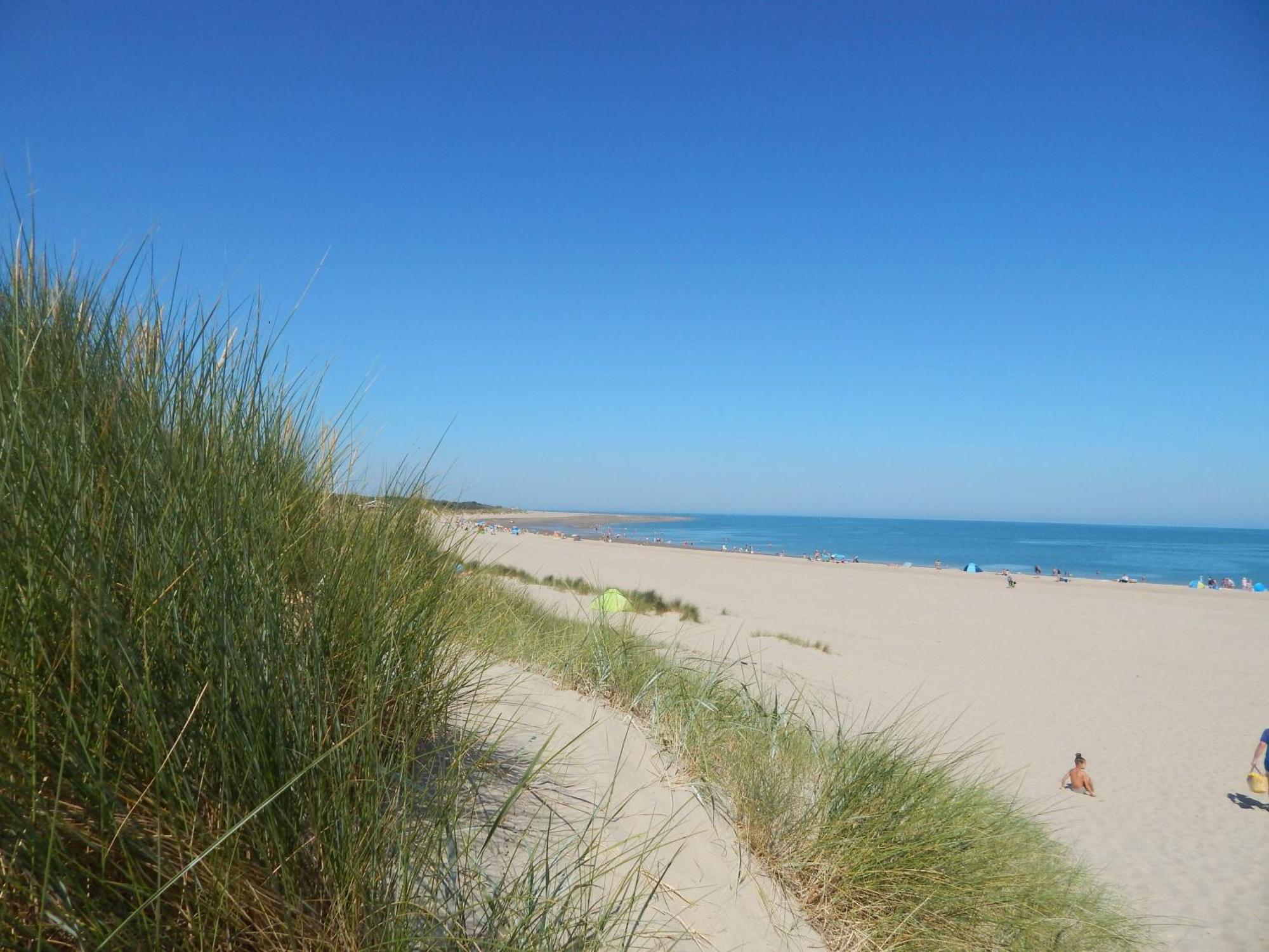 Wunderschoenes-Freistehendes-Ferienhaus-An-Der-See-Sauna-Strand-Yachthafen-Wlan Bruinisse Exteriör bild